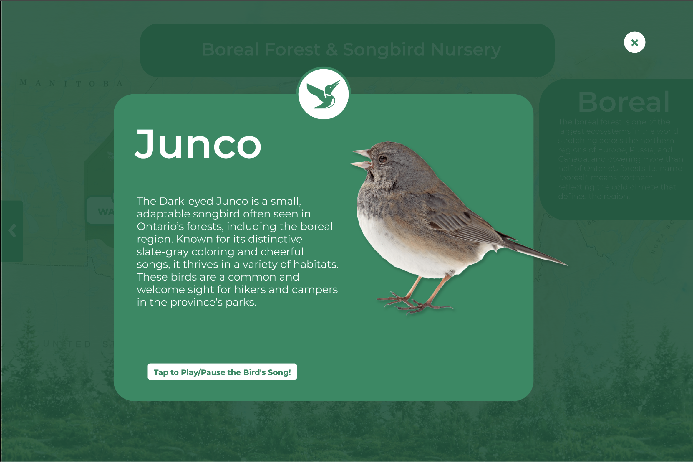 Songbird Interactive Screen